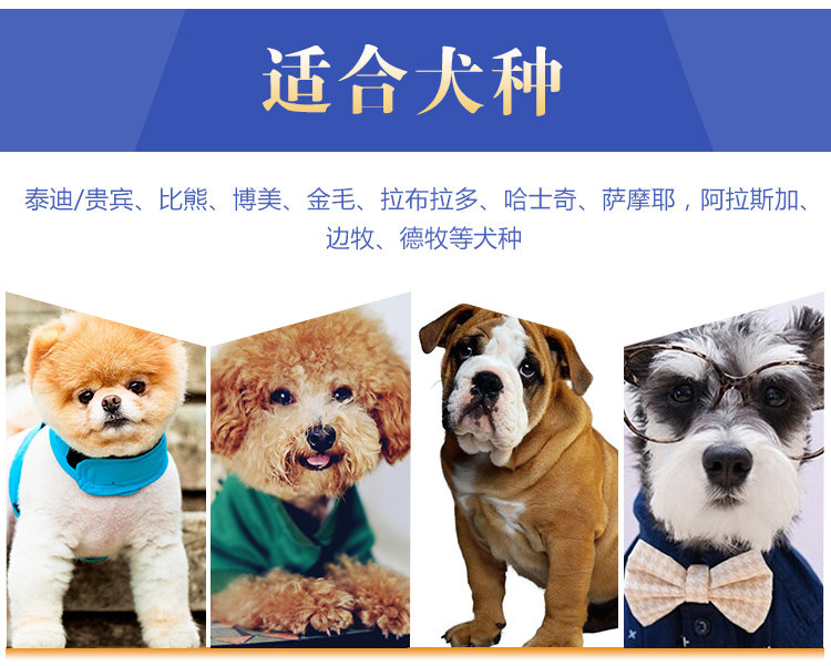 Thức ăn cho chó 2,5kg5 kg chó cỡ lớn và trung bình General Deere chó con chó trưởng thành Teddy Bomei Samoyed Chihuahua - Chó Staples hạt zenith