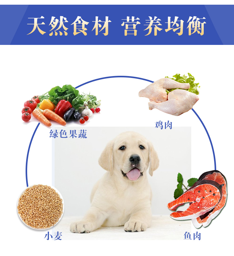 Thức ăn cho chó 2,5kg5 kg chó cỡ lớn và trung bình General Deere chó con chó trưởng thành Teddy Bomei Samoyed Chihuahua - Chó Staples hạt zenith