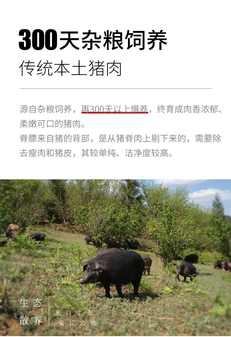安享好物 安享B级猪油-金恩凡提猪油 国标