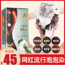 Dirty orange foam hair dye female 2022 new popular pure black tea plant dyeing hair at home trembles