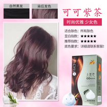 Purple bubble foam hair dye female 2022 new black purple milk tea plant pure self-dyeing hair trembles at home