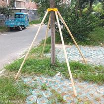 Landscaping with tree support pole yellow set cup strap with windproof anti-fall bracket seedling fixer wooden stick