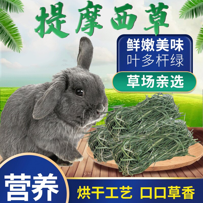 2021 Quality Baking Timothy Southwest Tin Weight 500g Rabbit Dutch pig Dragon Feed Hay Judy