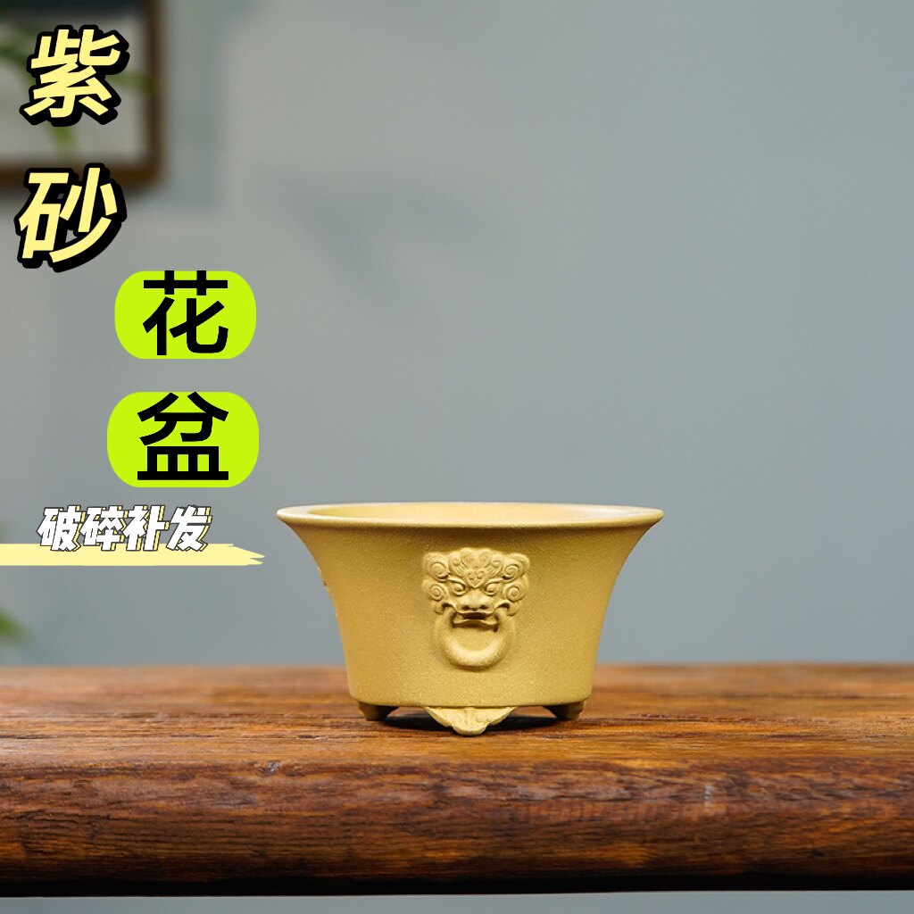 宜興紫砂花盆簡約陶瓷多肉菖蒲植物圓形三色桌面小號盆景微型創意