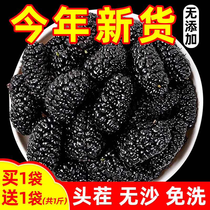 Xiajin Dried Black Mulberries, Fresh Mulberries, Sand-Free, No-Wash Tea, Water Soaked in Wine, Dried Fruits, Ready-To-Eat Dried Mulberries, Non-Special Grade