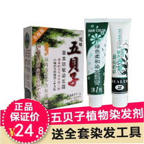 Crown Bridge Five Bezi Plant Dyeing Agents 2019 Pop Color Shade No Ammonia Gentle Nourishing Color Hair Cream Amino Acids