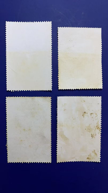 ͼƬ��������´��ڴ򿪲鿴