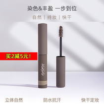 Orange flower eyebrow cream is not easy to decolorize long-lasting waterproof three-dimensional eyebrow raincoat female beginners