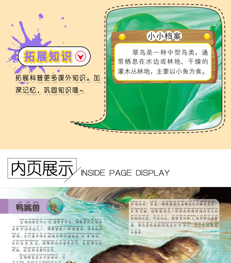 《动物小百科》儿童绘本注音版 全10册 图5