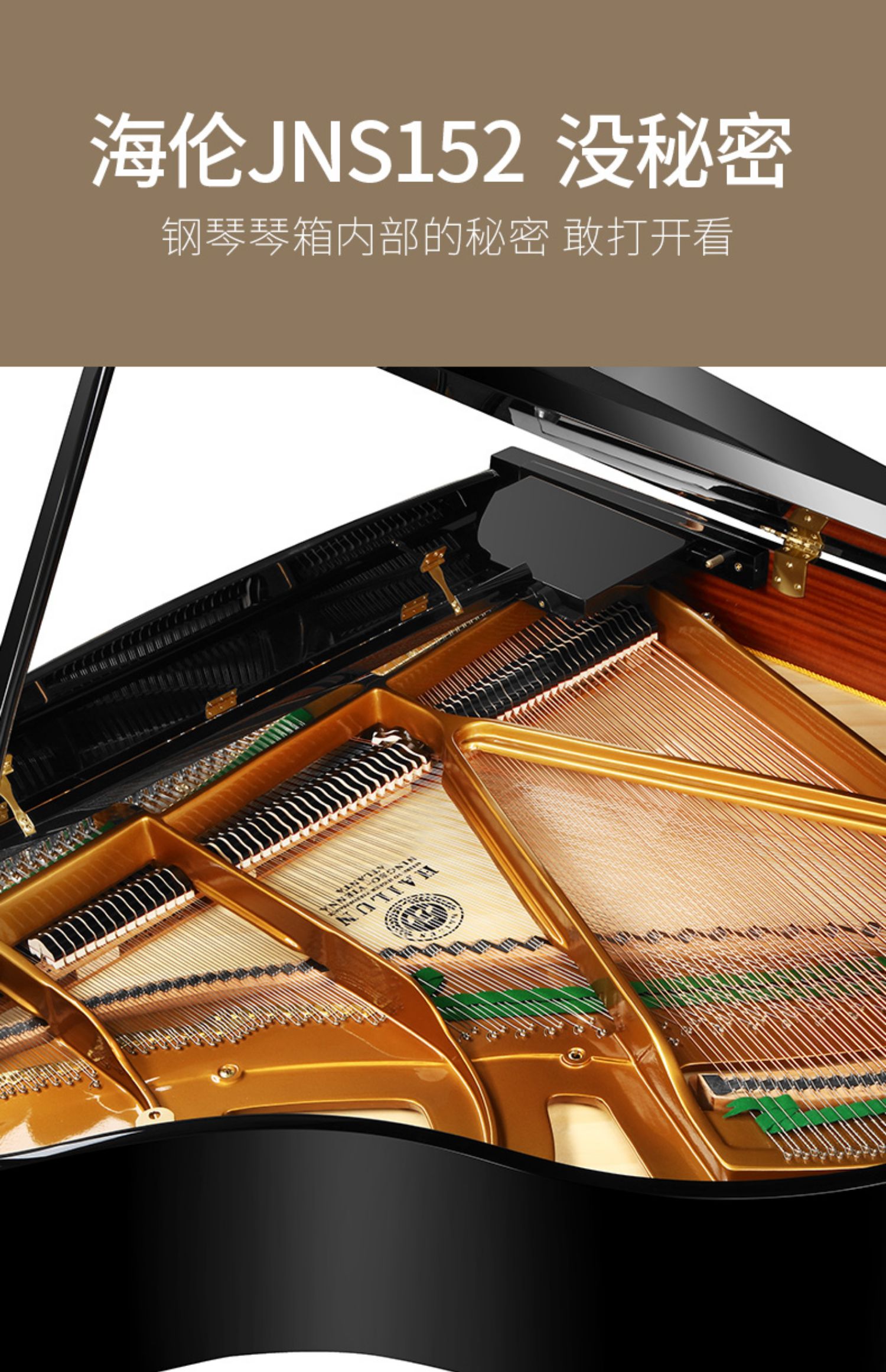 Helen HAILUN Phiên bản giới hạn kỷ niệm 70 năm Đàn piano Grand JNS52 chuyên nghiệp - dương cầm casio px 770