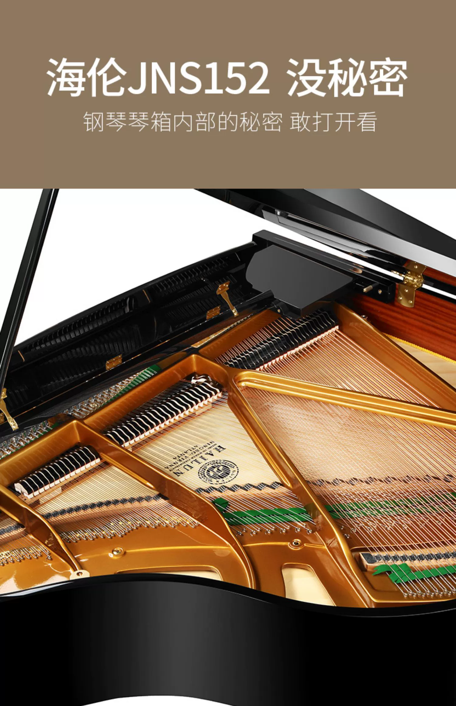Helen HAILUN Phiên bản giới hạn kỷ niệm 70 năm Đàn piano Grand JNS52 chuyên nghiệp - dương cầm