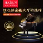 Helen piano chính thức cửa hàng hàng đầu thương hiệu grand piano mới HG178 88 phím home piano chuyên nghiệp đích thực yamaha c3