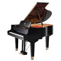 Helen Wendelong grand piano W-A162 chơi grand piano chuyên nghiệp yamaha clp 535