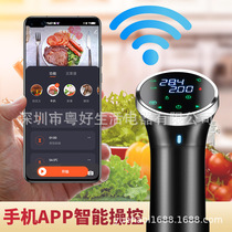 Cuiseur Sous Vide basse température mijoteuse dégivrage machine à steak Sous Vide version WIFI téléphone portable AP mijoteuse bâton