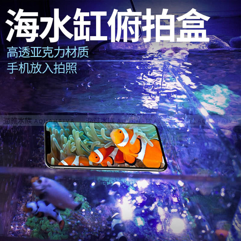 龙祥宫 水族店用观察镜 海缸选货看的清楚 水面漂浮盒珊瑚俯拍盒