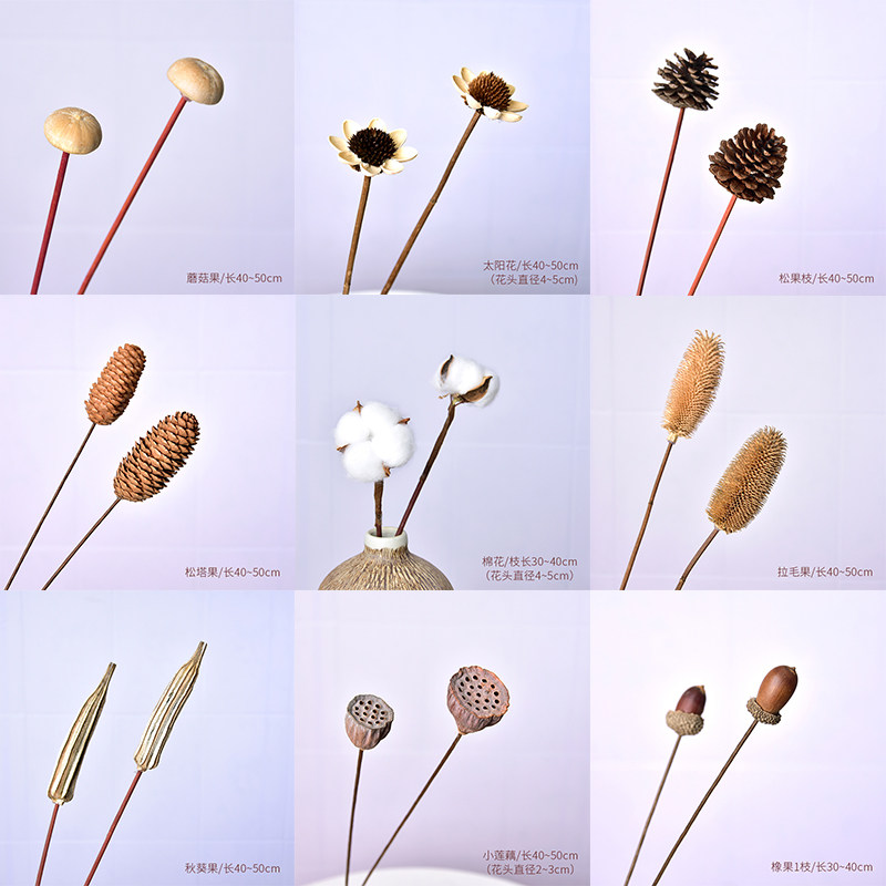 Hand-made dried flower bouquet Plant pine cones showerhead reed Cotton roses to the sun Okra diy desktop shooting ornaments