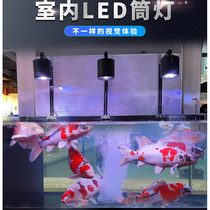 Super color downlight full spectrum fish tank LED light koi indoor fish tank brightening light koi night viewing