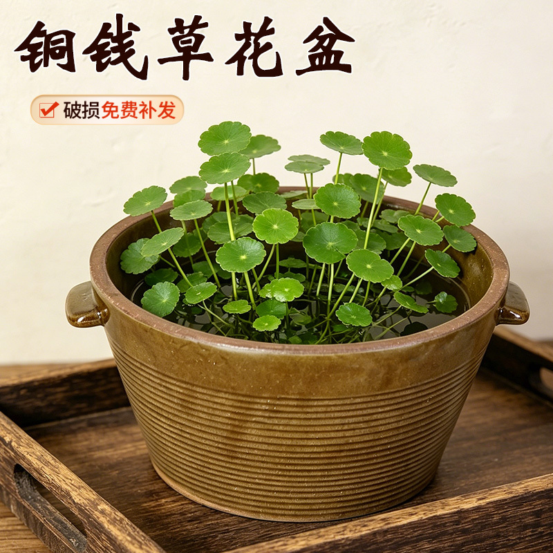 Copper Coin Grass Flower Pot, Bowl Lotus, Water Lily Pot, Old-Fashioned Hydroponic Plant Pot, Large Ceramic Pot, Special Green Plant Pot for Money Grass