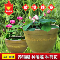 Old style large water cylinder fish farming tile cylinder sleeping lotus cylinder courtyard ceramic cylinder basin for view raising turtle small pebble large number lotus flower pot
