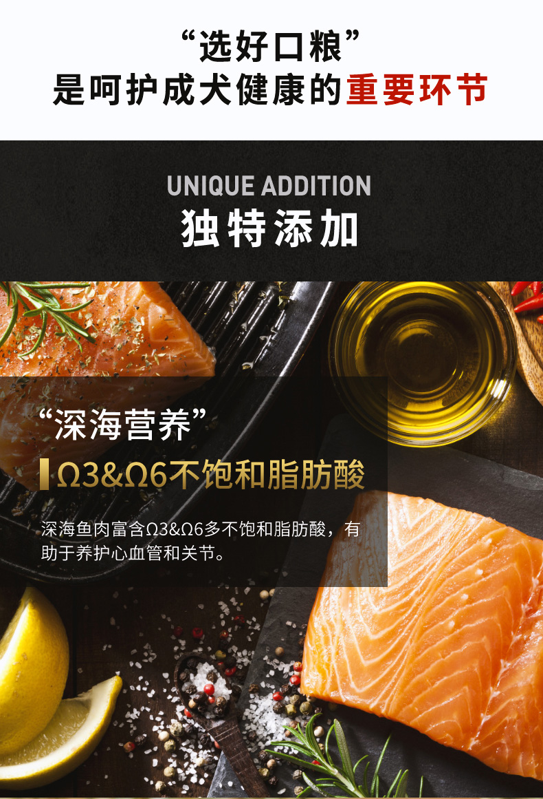 Thức ăn cho chó Briggie thức ăn cho chó trưởng thành 20kg so với câu lạc bộ St. Regis nói chung thức ăn cho chó vừa và nhỏ 40 kg - Chó Staples thức an cho chó giá rẻ