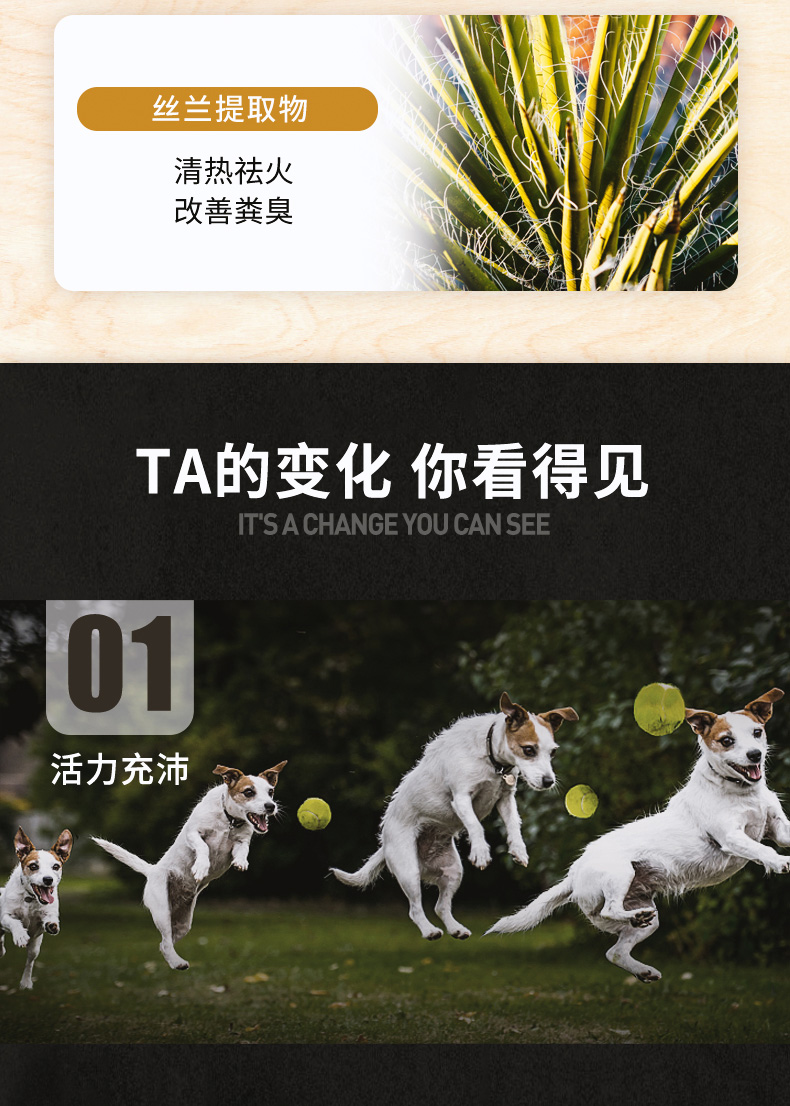 Thức ăn cho chó Briggie thức ăn cho chó trưởng thành 20kg so với câu lạc bộ St. Regis nói chung thức ăn cho chó vừa và nhỏ 40 kg - Chó Staples thức an cho chó giá rẻ