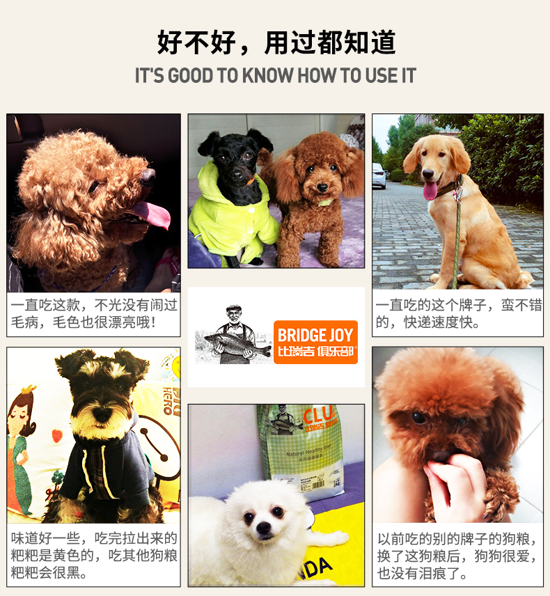 Bierji bơ thức ăn cho chó đẹp hơn 2kg so với câu lạc bộ St. Regis Teddy chó nhỏ dành cho chó trưởng thành - Chó Staples đồ ăn của chó