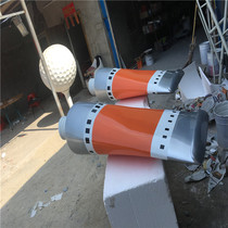 Customised Bagui Garden Lawn Landscape GRP Toothpaste Sculpture Spray-painted Flowers And Grass Plant Simulation Toothpaste Sculpture Paint