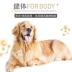 Force Wolf Dog Food Mushroom Chicken Nuggets 10kg Chó vừa và lớn Chó trưởng thành Thức ăn cho chó Labrador Vàng cắt tỉa phổ quát - Chó Staples
