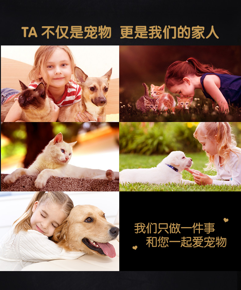 Pet Wei Zi thức ăn cho mèo 1,5kg vào mèo con mèo đa năng chuyên sâu dầu cá biển Anh ngắn đẹp Anh ngắn Xiêm thức ăn xác thực 3 kg - Cat Staples hạt royal canin kitten
