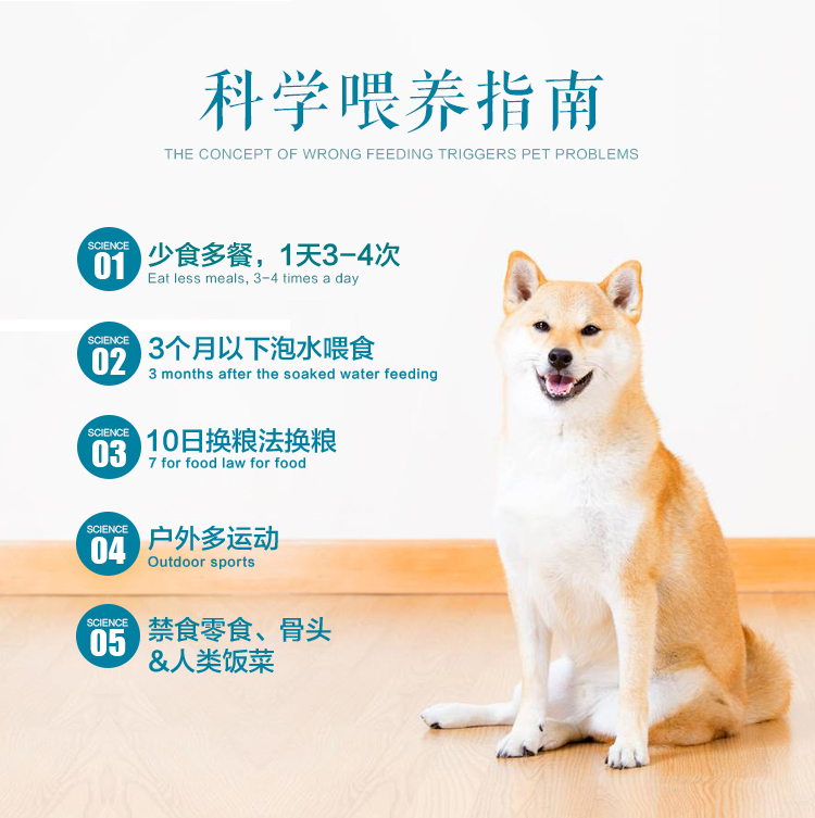 Gửi thức ăn cho chó 10kg chó trưởng thành Teddy lông vàng Labrador Husky chó nhỏ vừa và lớn loại chung 20 kg - Chó Staples thức ăn cho chó pug