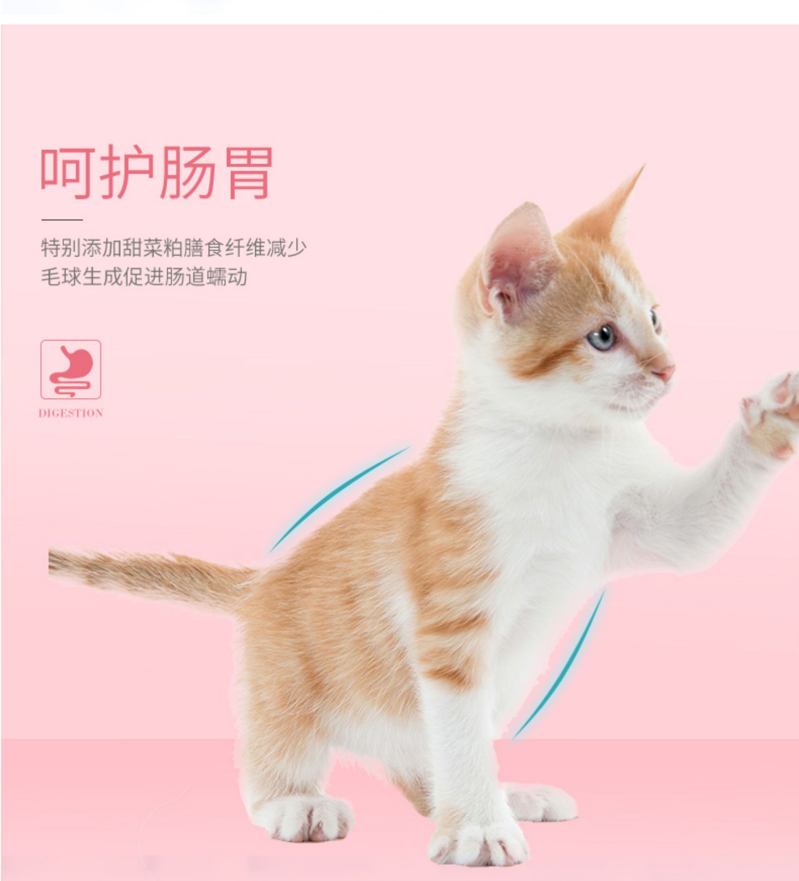Mèo Odin thức ăn cá hồi hương vị 4 kg mèo con thành mèo đẹp Anh ngắn Anh mèo xanh Xiêm mèo đầy đủ hạt tự nhiên 2kg - Cat Staples đồ ăn vặt cho mèo