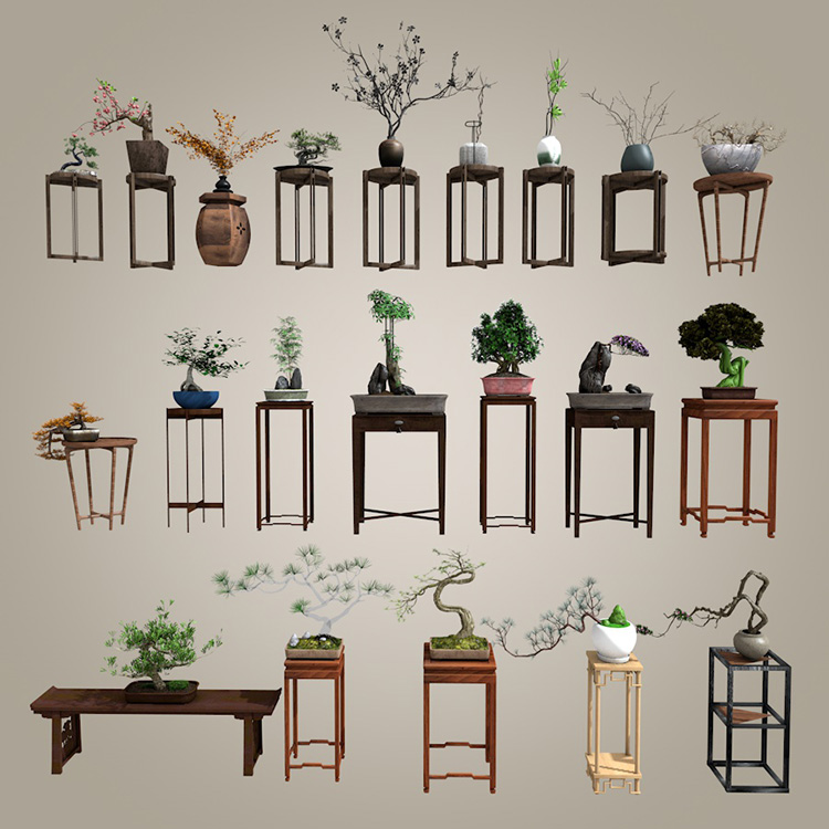 21款中式盆景栽罗汉松树造型植物摆件绿植花架SU模型C4D素材S081-cg男孩