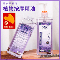 Beauty salon lavender plant massage essential oil body massage Meridian skin care open back massage scraping push oil