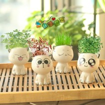 Head Long Grass Potted Herb Skull Doll Idea Little Potted Plant Cute Mini Grass People Desktop Plant Ceramics Cute