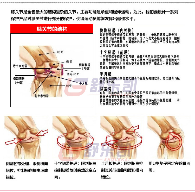 Protection sport - Ref 586479 Image 10