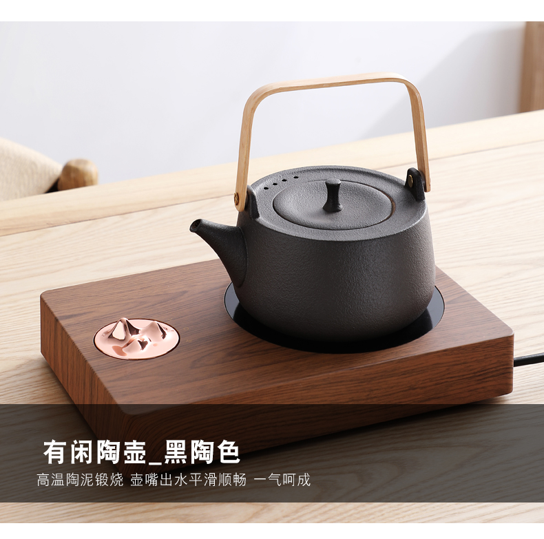 Hot pot of water jug kettle boiling kettle pot kung fu tea electric TaoLu permeating view mountain tea stove