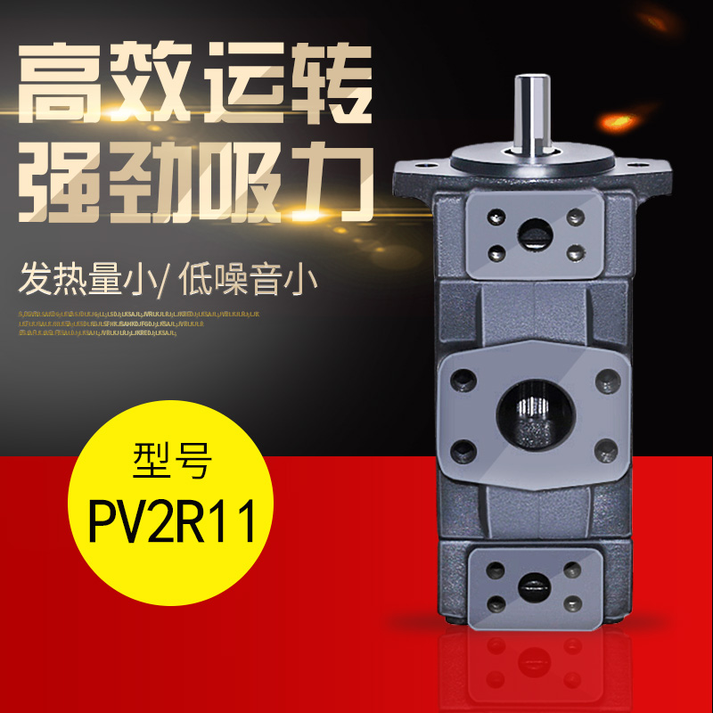 Xianju Yongling quantitative double vane pump PV2R11-6-31 6-31