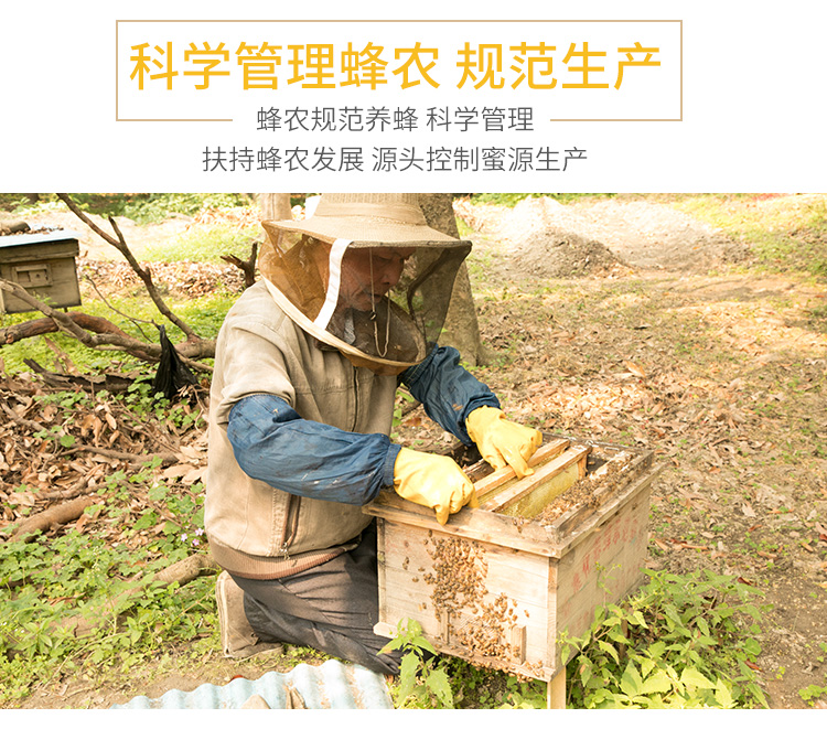 谭氏 多花种蜜 250g 图7