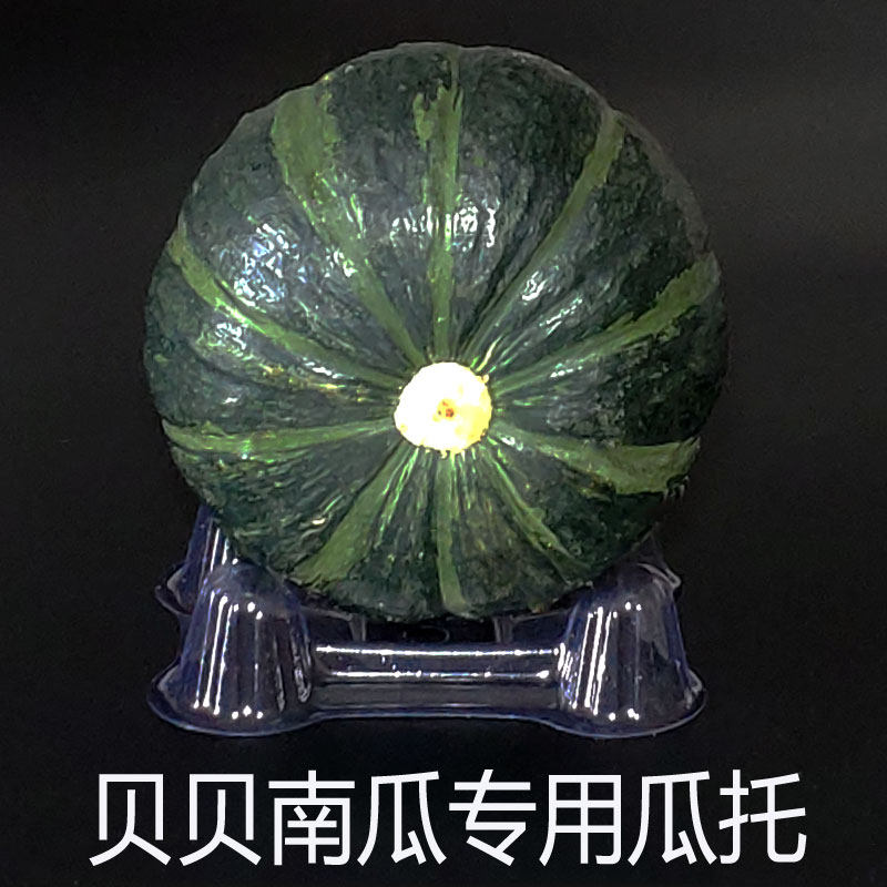 March agricultural tools Mini small guato bebei pumpkin special guato growth bracket agricultural anti-corrosion prevention two side melon