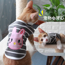 Small Dogs Clothes Teddy Milk Cats Slim cute Blue Cat Vest Small dog puppies Bears Beauty and Autumn Winter