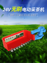 Electric tea-picking machine single small electric portable portable rechargeable 24v multifunction tea-picking machine single