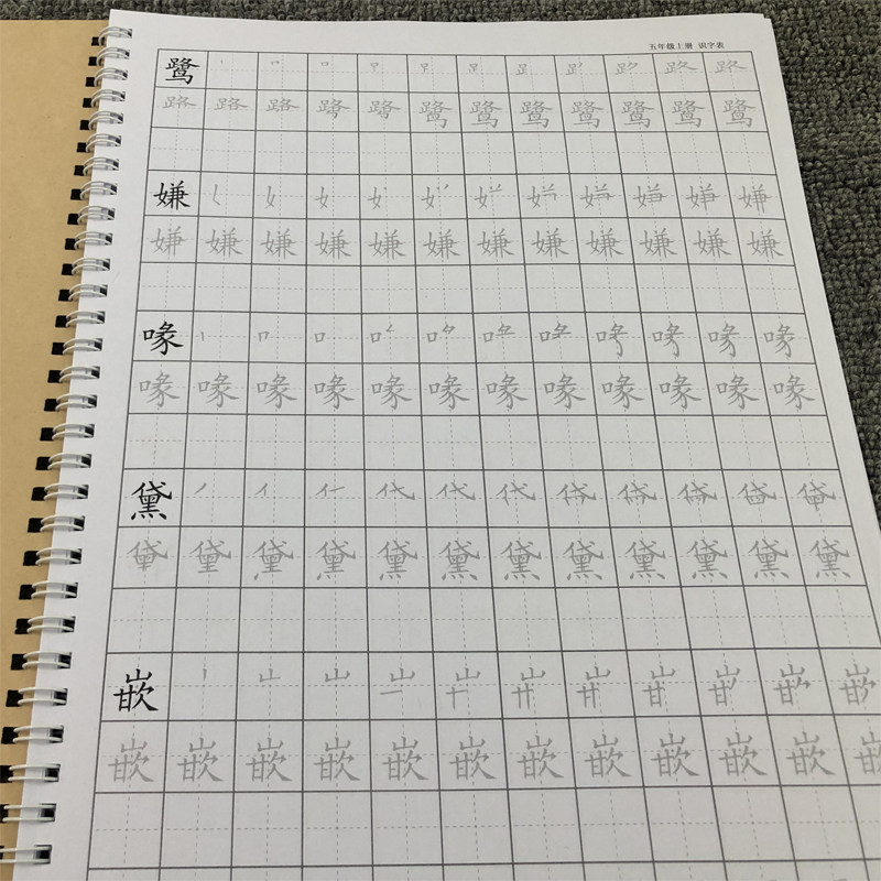 New Department Editor Editor Edition Fifth Grade Literacy Literacy Book Brush Slipper Red-Scripted Practice