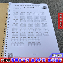 Ministry Editors Edition Primary School Language 6th grade Lower register for pinyin writing words letturology Note Phonetic Alphabet exercises This