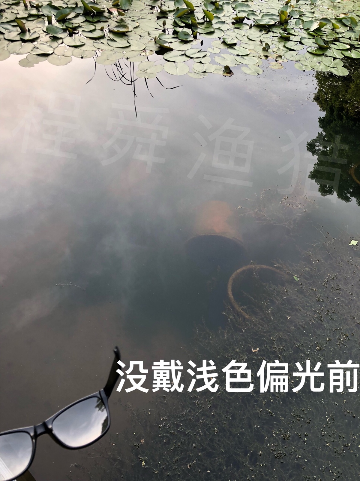 寻找水下宝藏：浅谈偏光镜在捕鱼中的应用