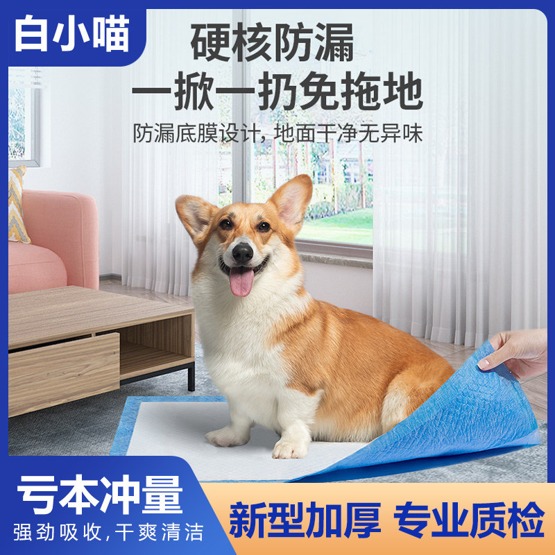 Pet supplies dog diaper thick deodorant absorbent teddy urine pad diaper diaper non-wet pad suction cool pad production pad
