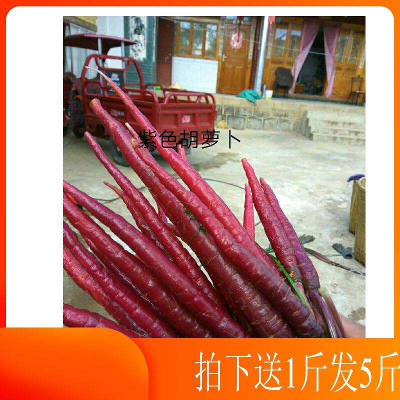 China's Yunnan Dali Terrific Farmers' Self-planted Purple Yellow Heart Fingers Carrot 4 catty