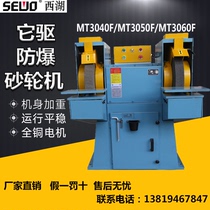 Hangzhou West Lake explosion-proof grinder single and double head belt drive casting grinding MT3040FMT3050F