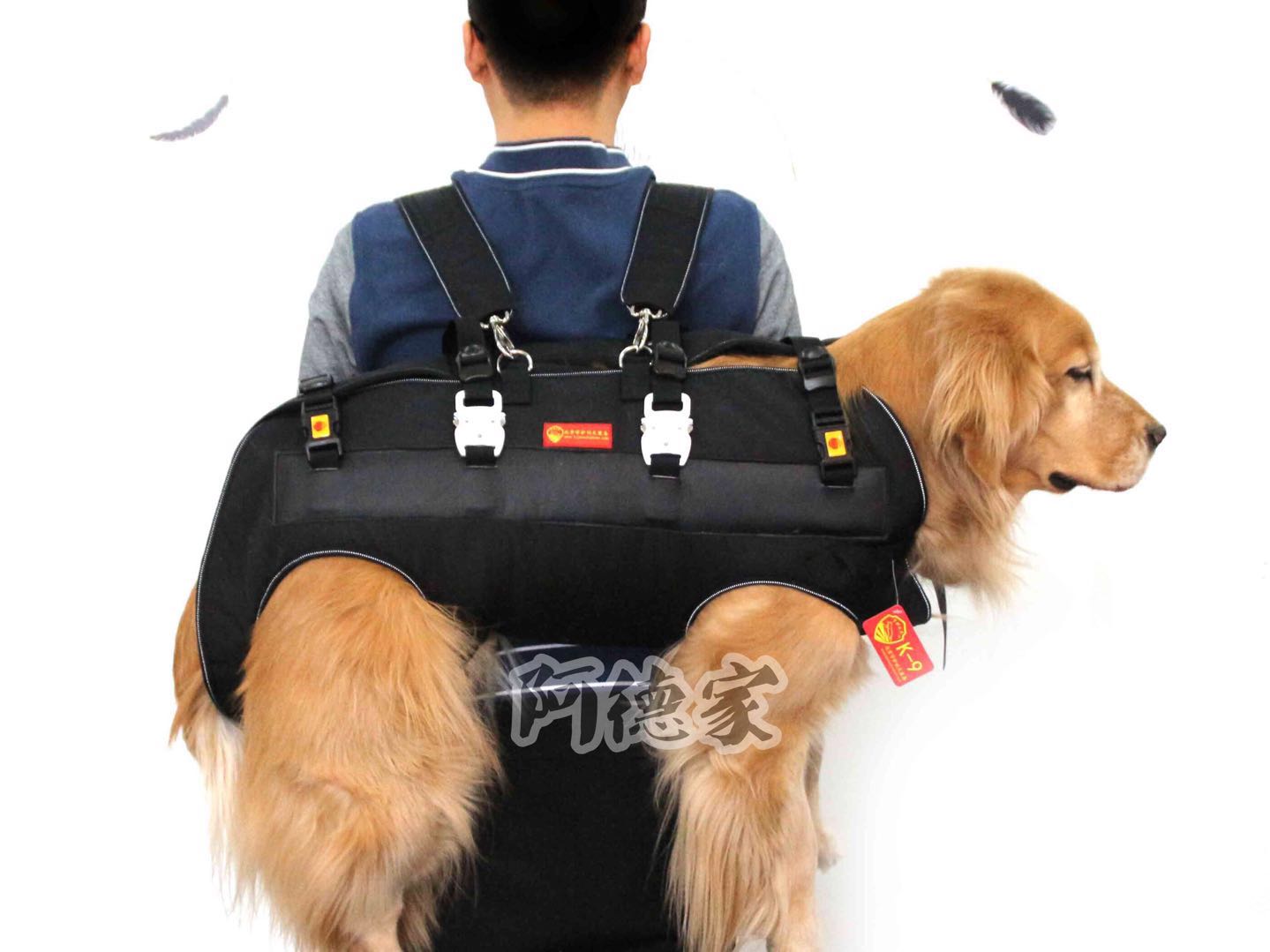 Backbone dog bag protection crest column joint outer bag pet backpack big dog elderly dog Corky dog