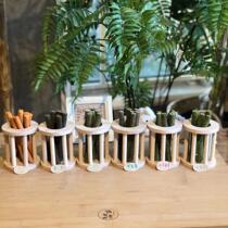 Cat-time 3 new dragon cat rabbit guinea pig grinding tooth grass roll carrot clover black wheat straw dandelion