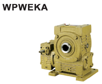 Wwpweka hole output shaft into reduction box upright double stage WP worm wheel worm-cast iron turbine reducer reducer